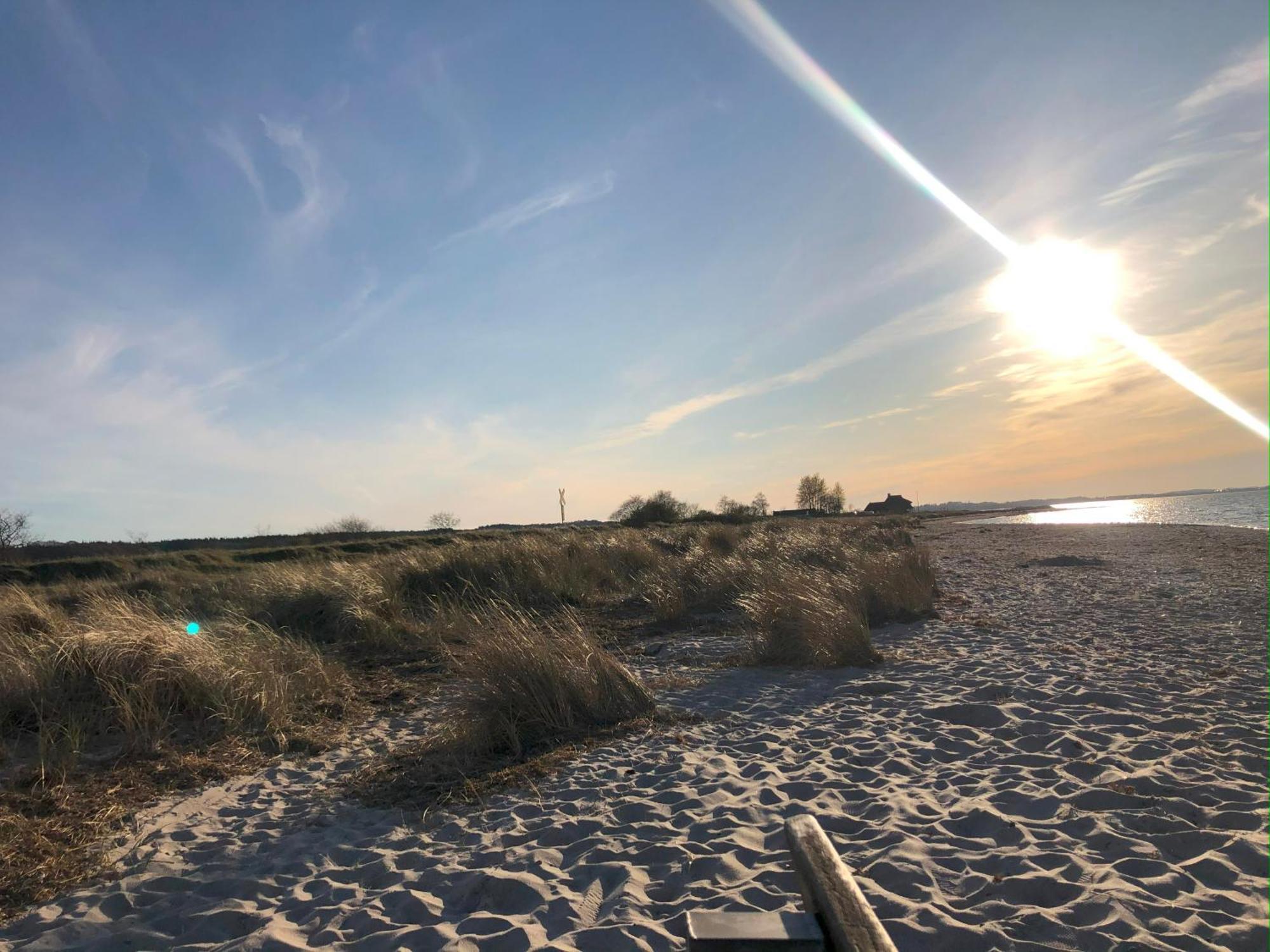 Neue Ferienwohnung An Der Ostsee,Terrasse,Sauna Surendorf Zewnętrze zdjęcie